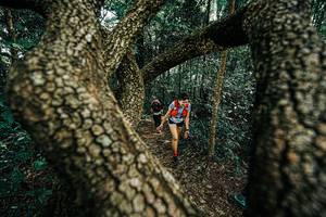 BIB: 
                            <button type="button" onclick="openModal(25392665)" class="btn btn-primary btn-sm float-right btn-popup" data-toggle="modal" data-target=".modal-high-quality">
                        <i class="fas fa-shopping-cart"></i> Add to Cart
                    </button>
                                            <button type="button" onclick="isThisMe(25392665, true)" class="btn btn-success btn-sm float-right btn-popup btn-isme hidden" data-toggle="tooltip" data-placement="bottom" title="นี่คือรูปของคุณใช่ไหม คลิกที่นี่เพื่อเอาเข้าอัลบั้ม">
                        <i class="fas fa-plus"></i> Add to album
                    </button>
                    <button type="button" onclick="isThisMe(25392665, false)" class="btn btn-warning btn-sm float-right btn-popup btn-isnotme hidden">
                        <i class="fas fa-ban"></i> Remove from album
                    </button>